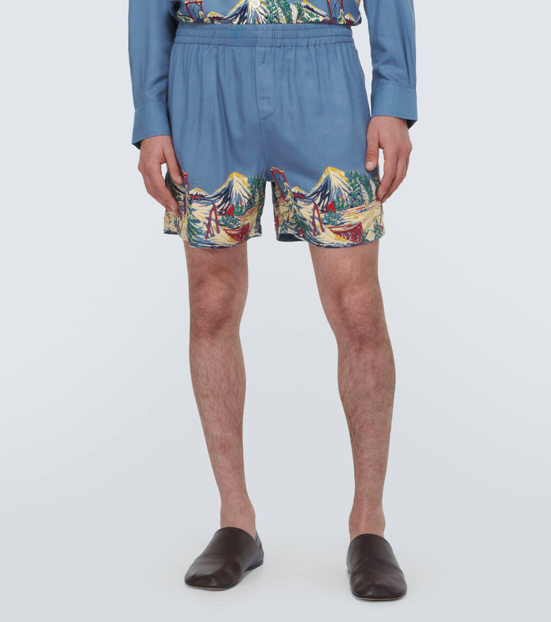 Ski Lift shorts 3