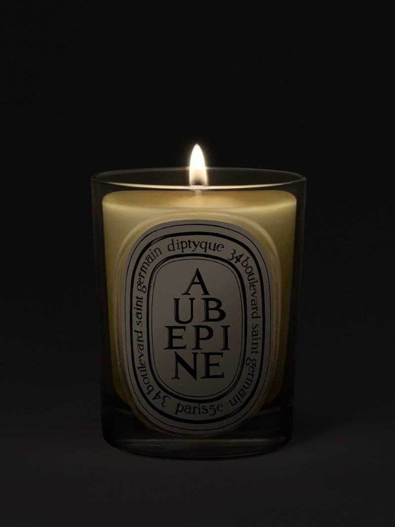 Diptyque Aubépine (Hawthorn) - Classic Candle outlook