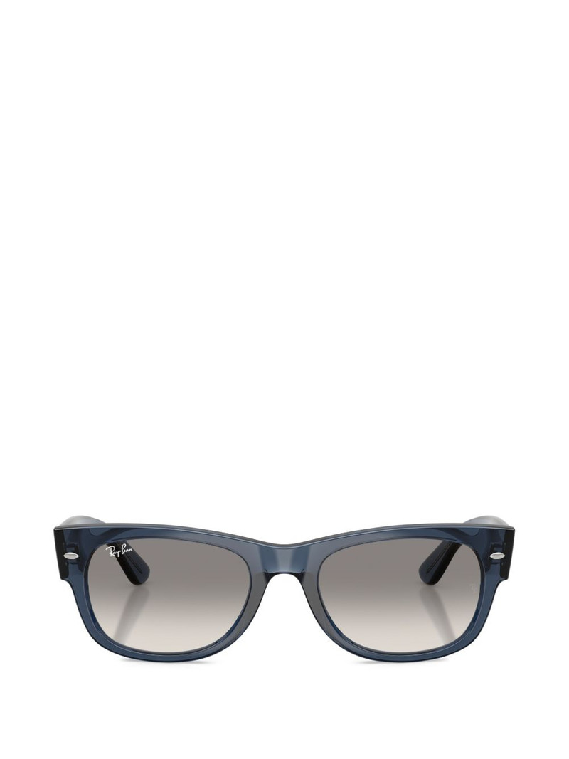 Mega Wayfarer II sunglasses 1