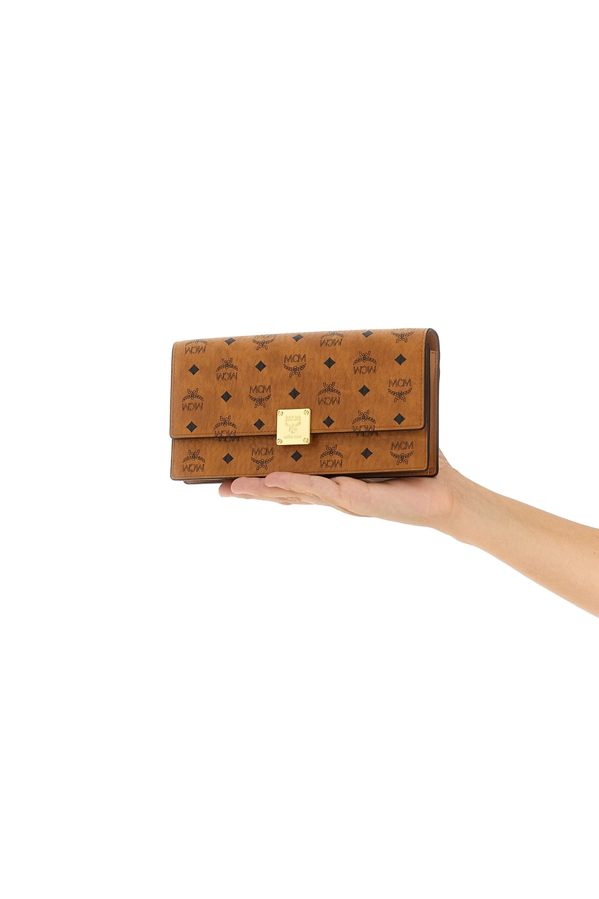 'Aren' wallet on chain - 2