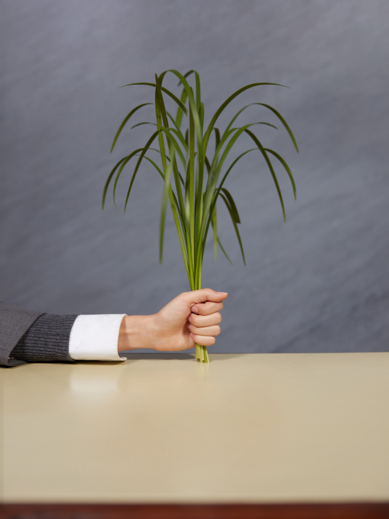 Thom Browne Bespoke Vetiver 175g Candle outlook