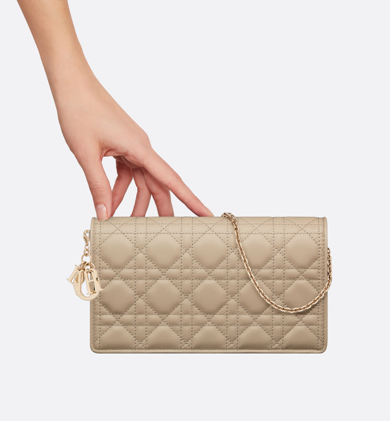 Lady Dior Pouch with Chain 9