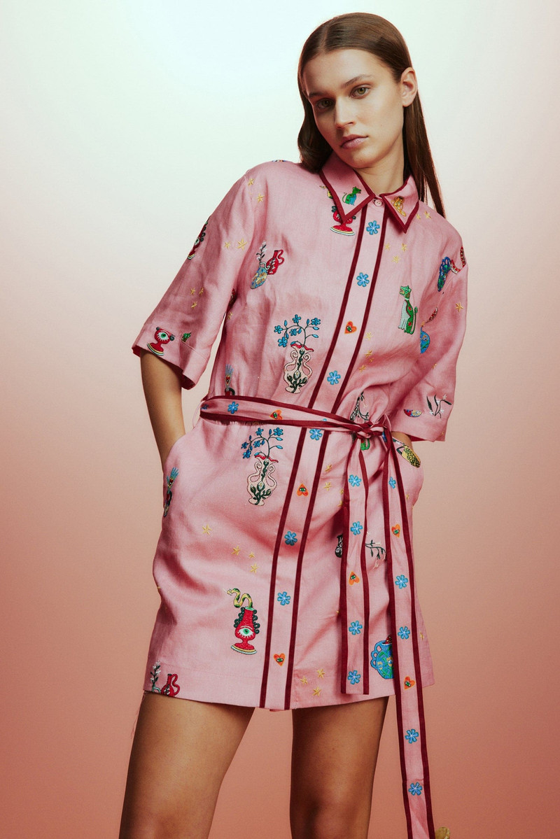 Timmy Embroidered Mini Dress 4