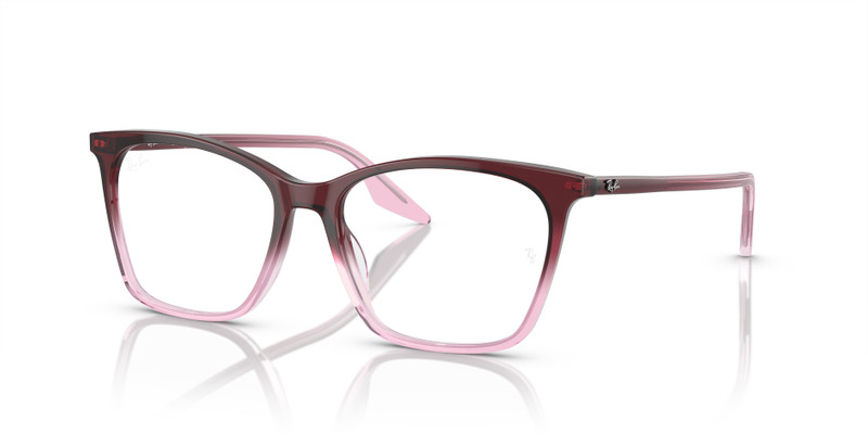 RB5422 OPTICS 1