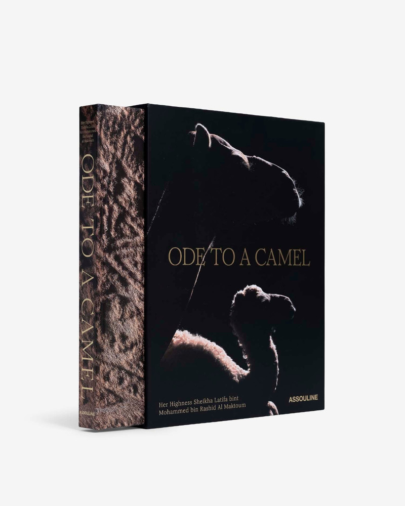 Ode to a Camel 1