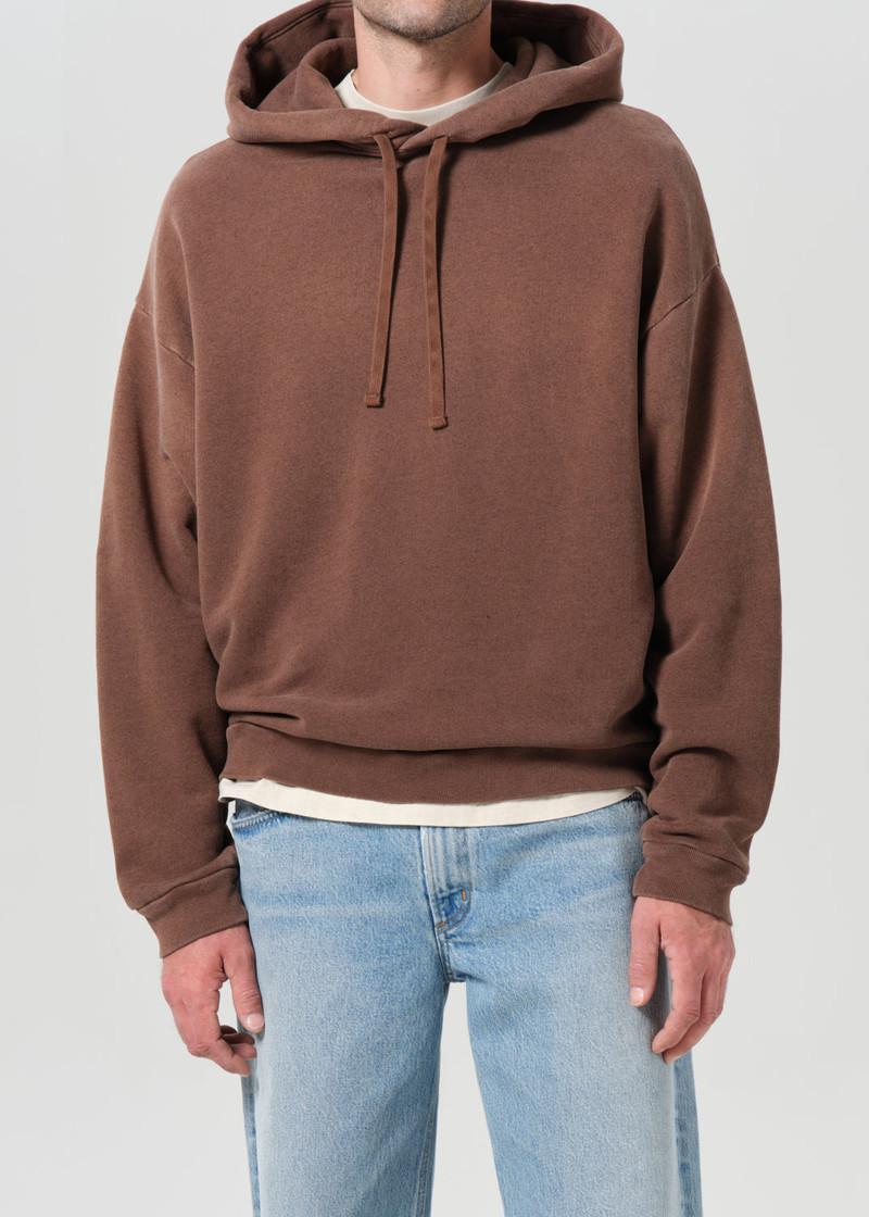 AGOLDE SALFORD HOODIE IN SUMAC outlook