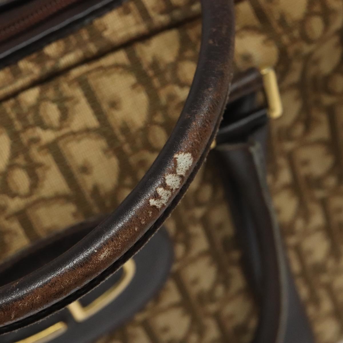 DIOR Trotter Canvas Hand Bag Brown - 10