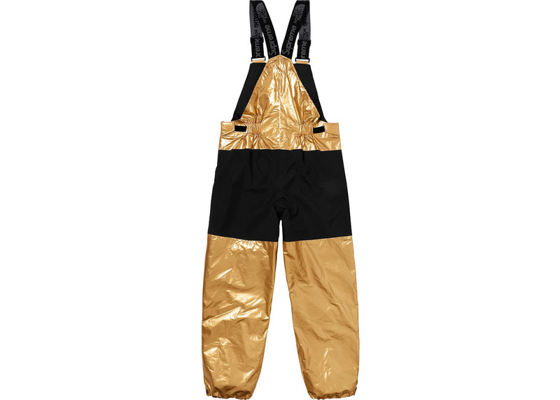 Supreme Supreme The North Face Metallic Mountain Bib Pants Gold outlook