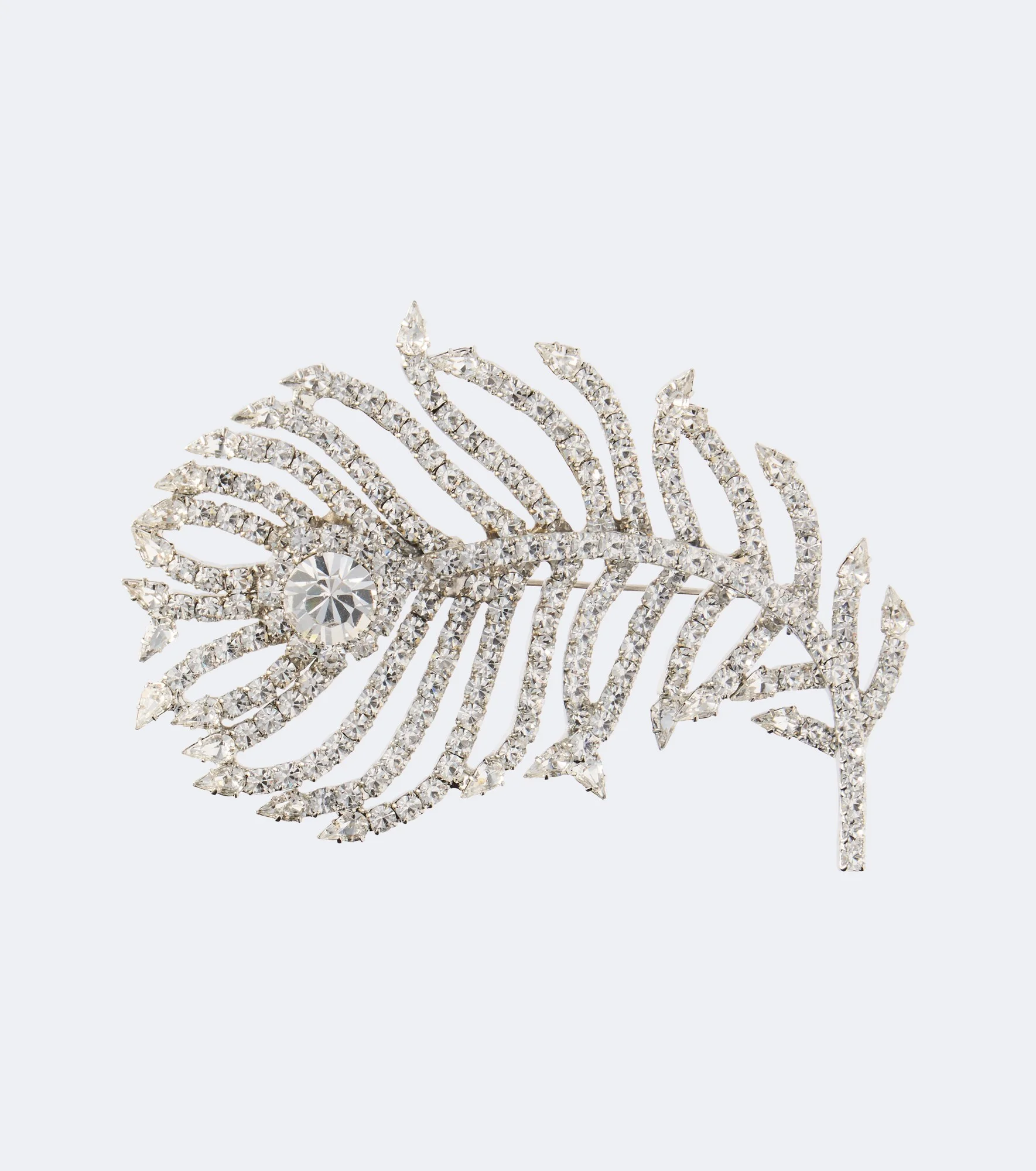 Pluma embellished brooch - 1