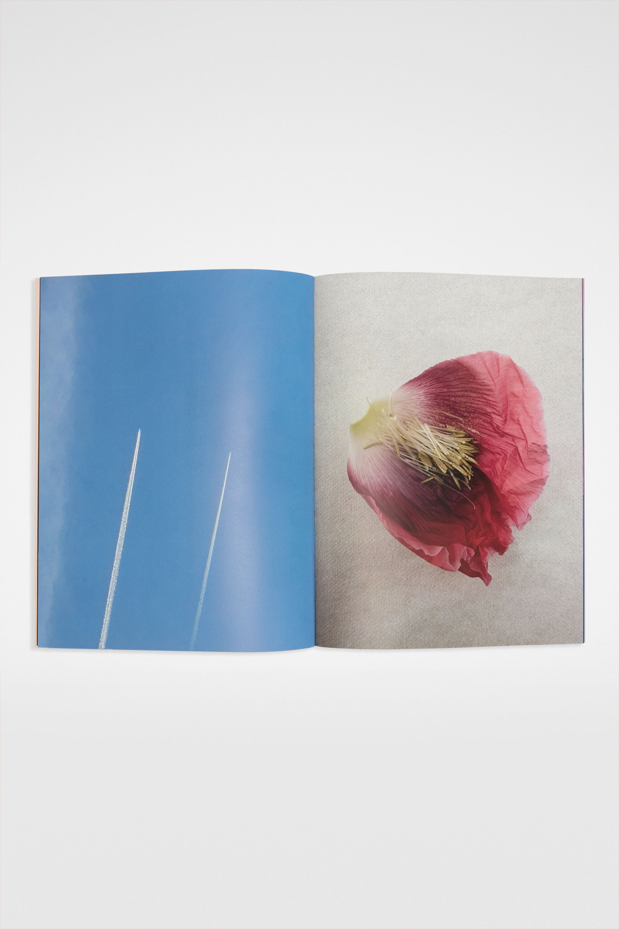 David Sims, Character - 4