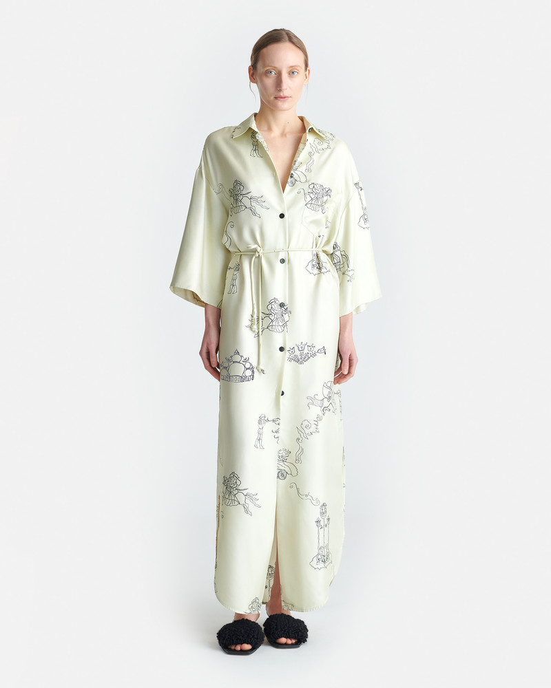 Printed Silk Twill Shirt Dress 3