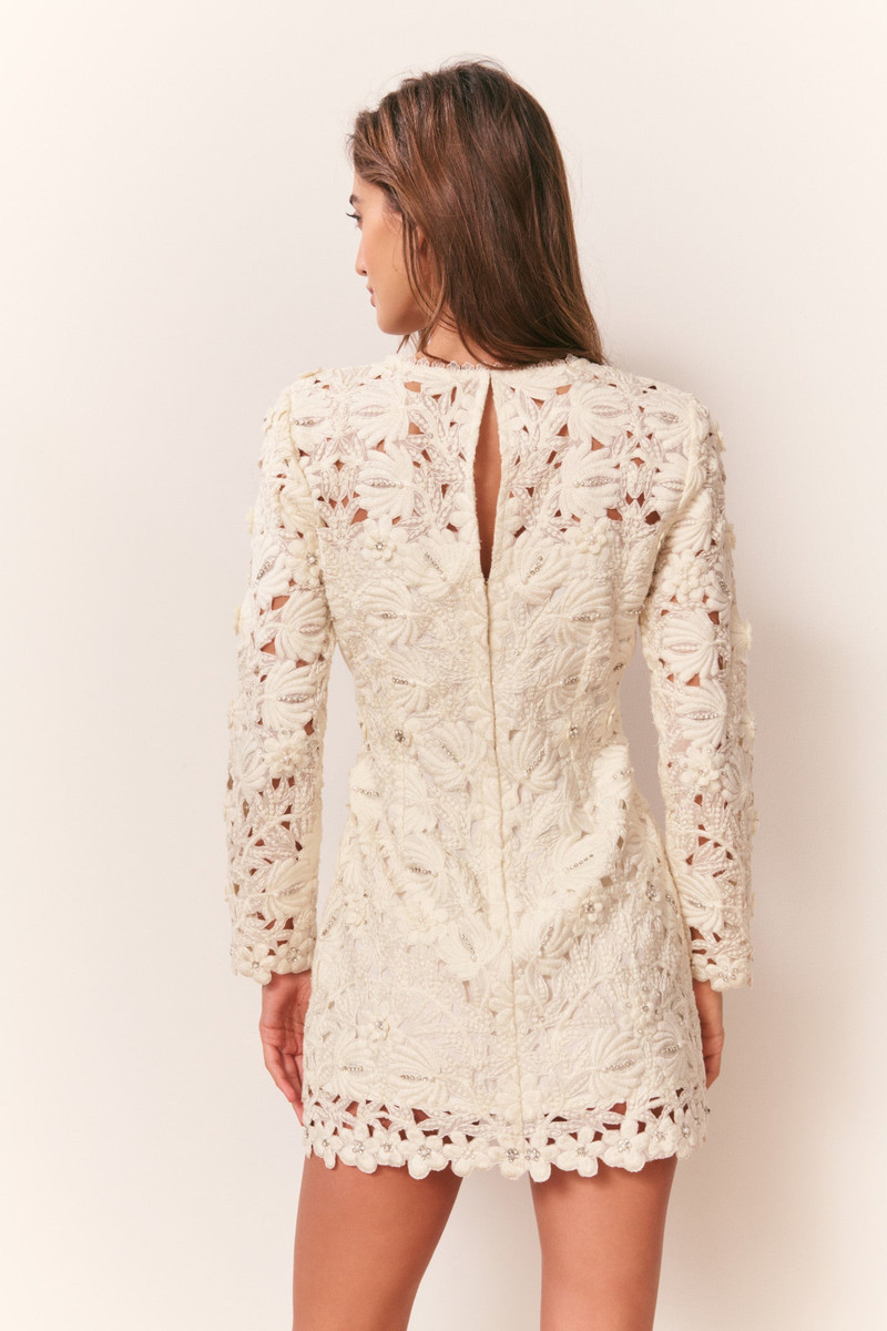 Caletta Floral Embroidered Lace Mini Dress 5