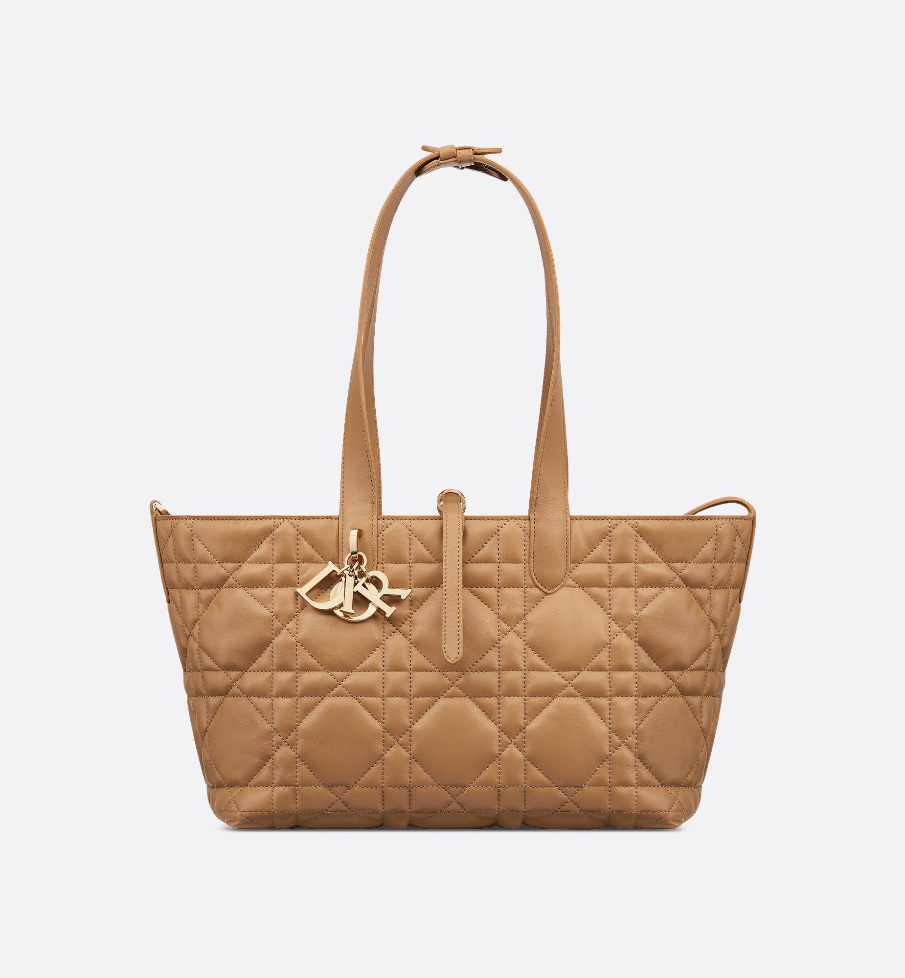 Medium Dior Toujours Bag - 6