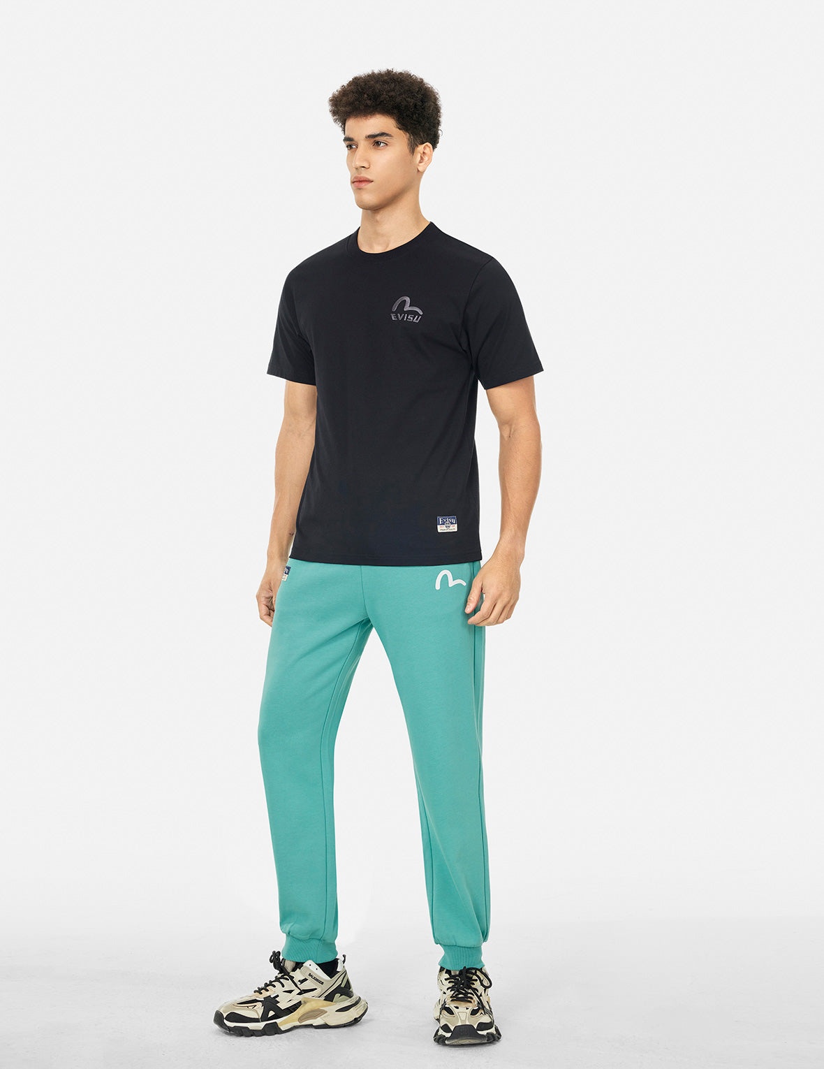 Spray-dyed Seagull and Logo Print Straight Fit Sweatpants - 4