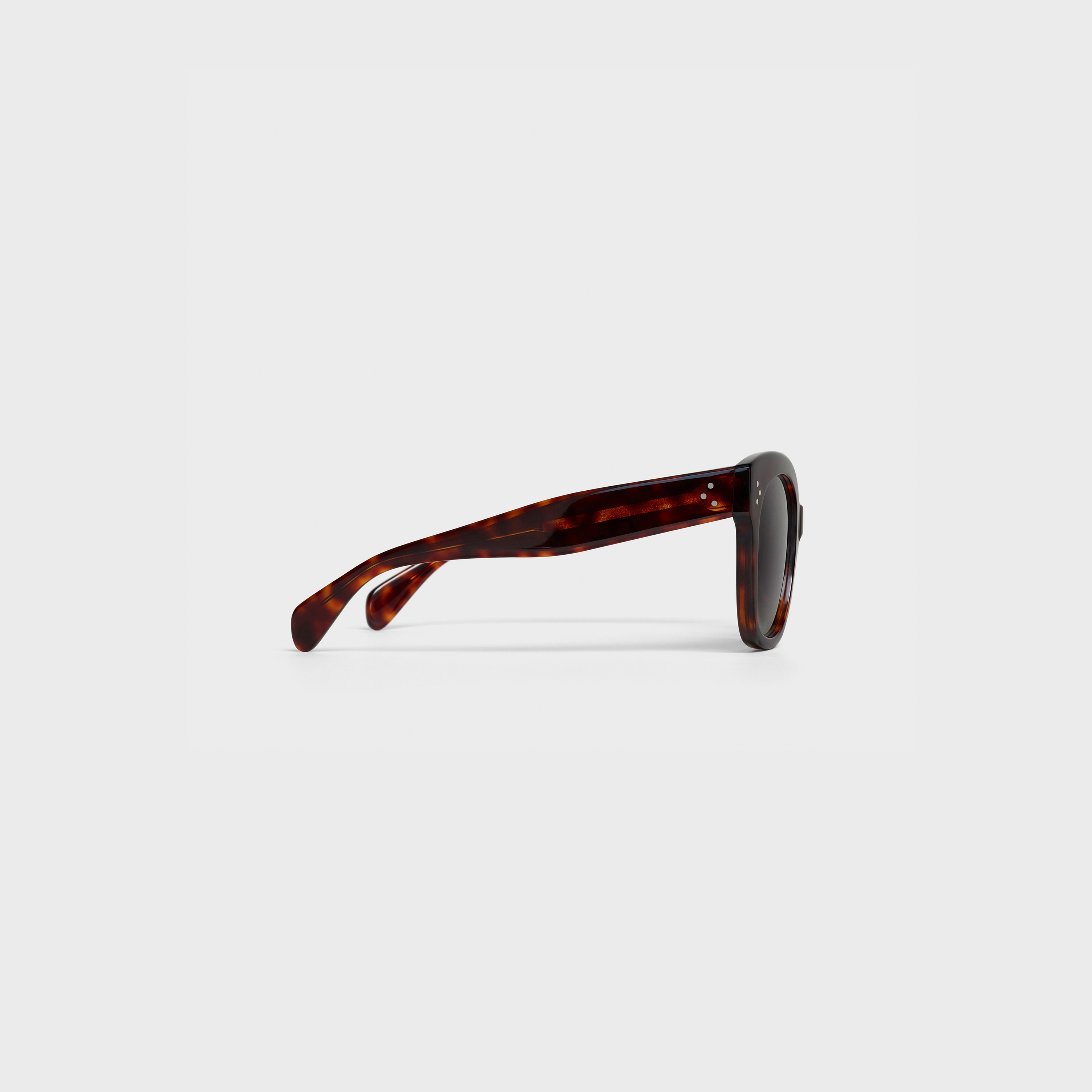 Oversized S002 Sunglasses in Acetate with Polarized Lenses - 3