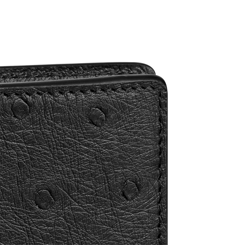 Louis Vuitton Brazza Wallet outlook