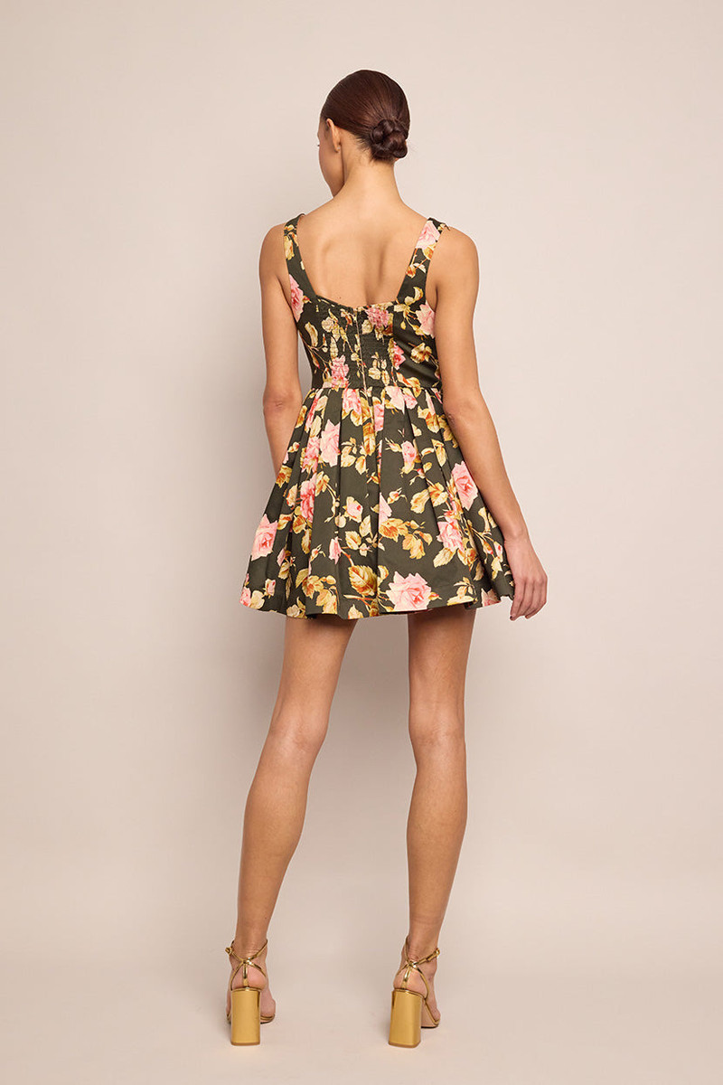 Basil Dress A Fit-and-Flare Mini in a Lush Print of Blooming Roses 4