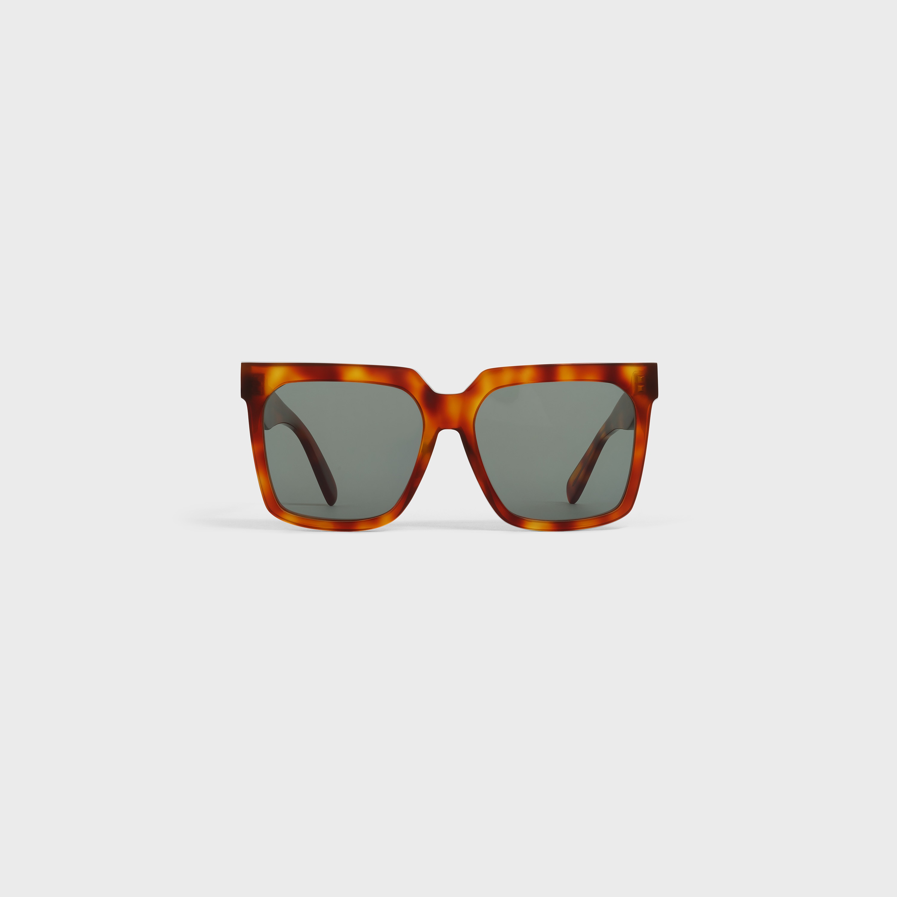 Oversized S055 Sunglasses in Acetate - 1