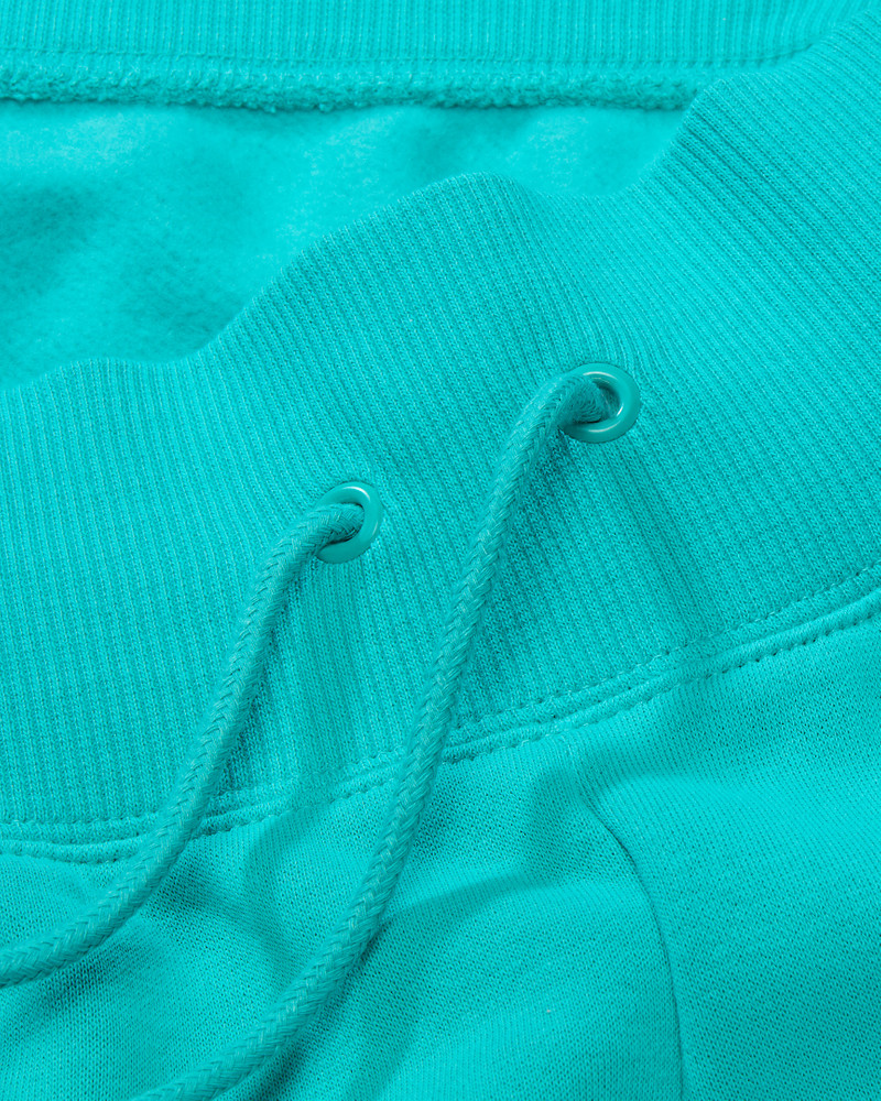Nike Sportswear Phoenix Fleece Women's High-Waisted Loose Shorts 9