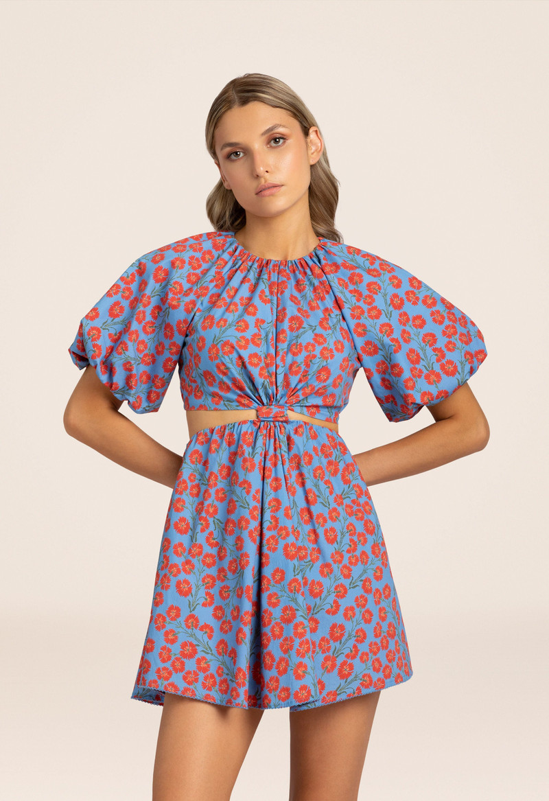 Laurel Bermelo Mini Dress 5