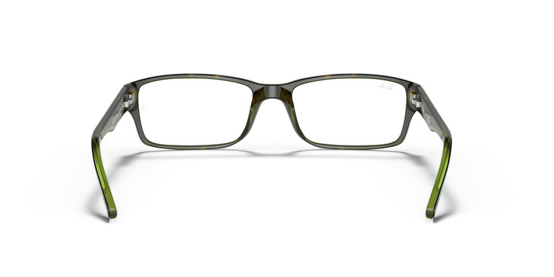 RB5169 OPTICS 6