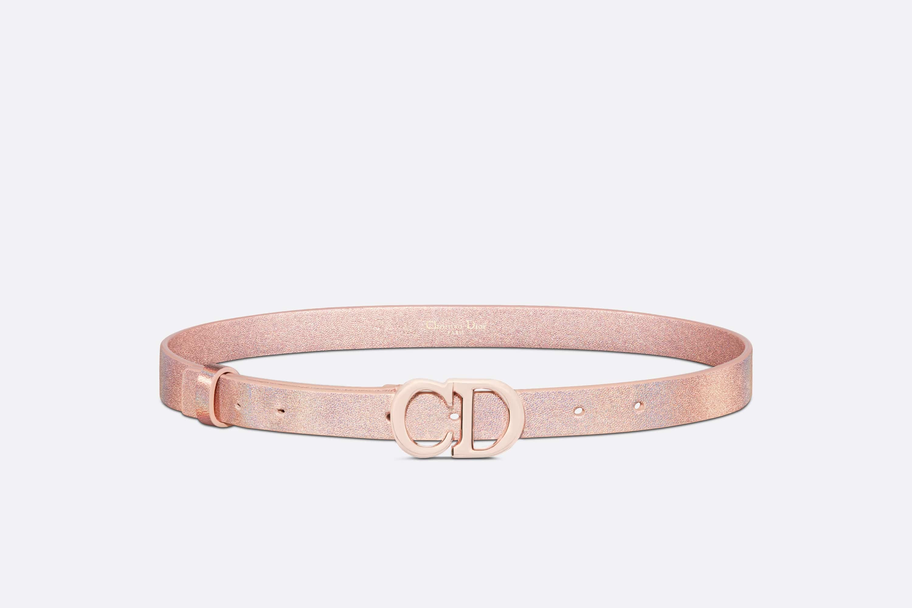 Dior Or Saddle Belt - 1