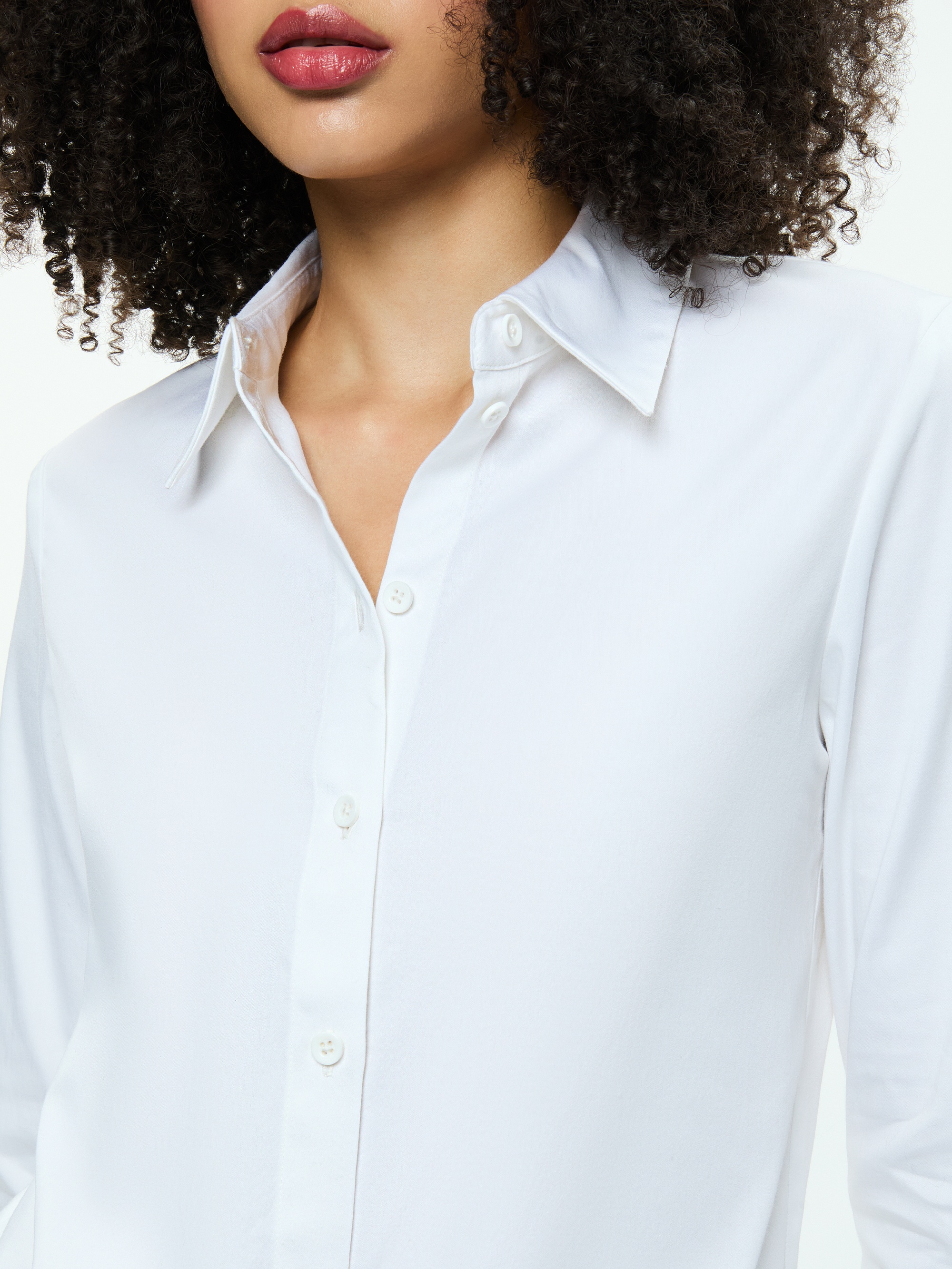 PERFECT BUTTON DOWN - 5