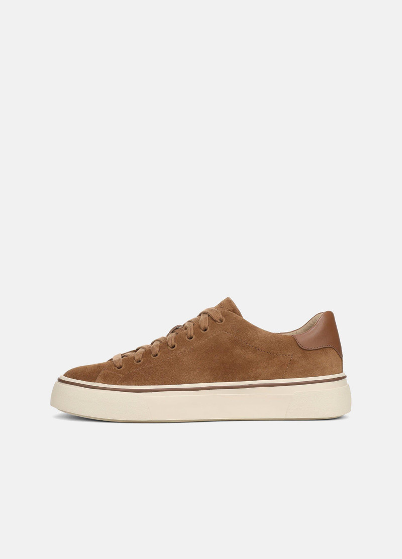 Vasquez Suede Shoe 1