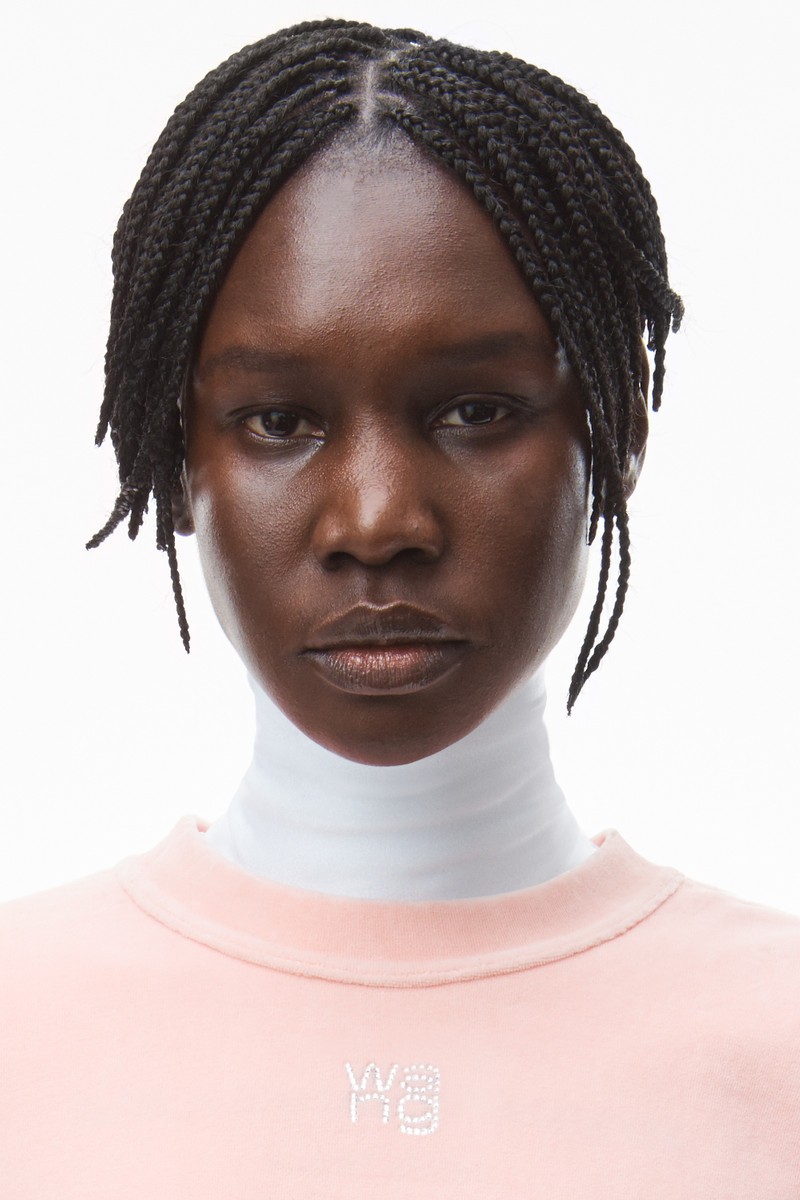 CRYSTAL LOGO PULLOVER IN SOFT VELOUR 3