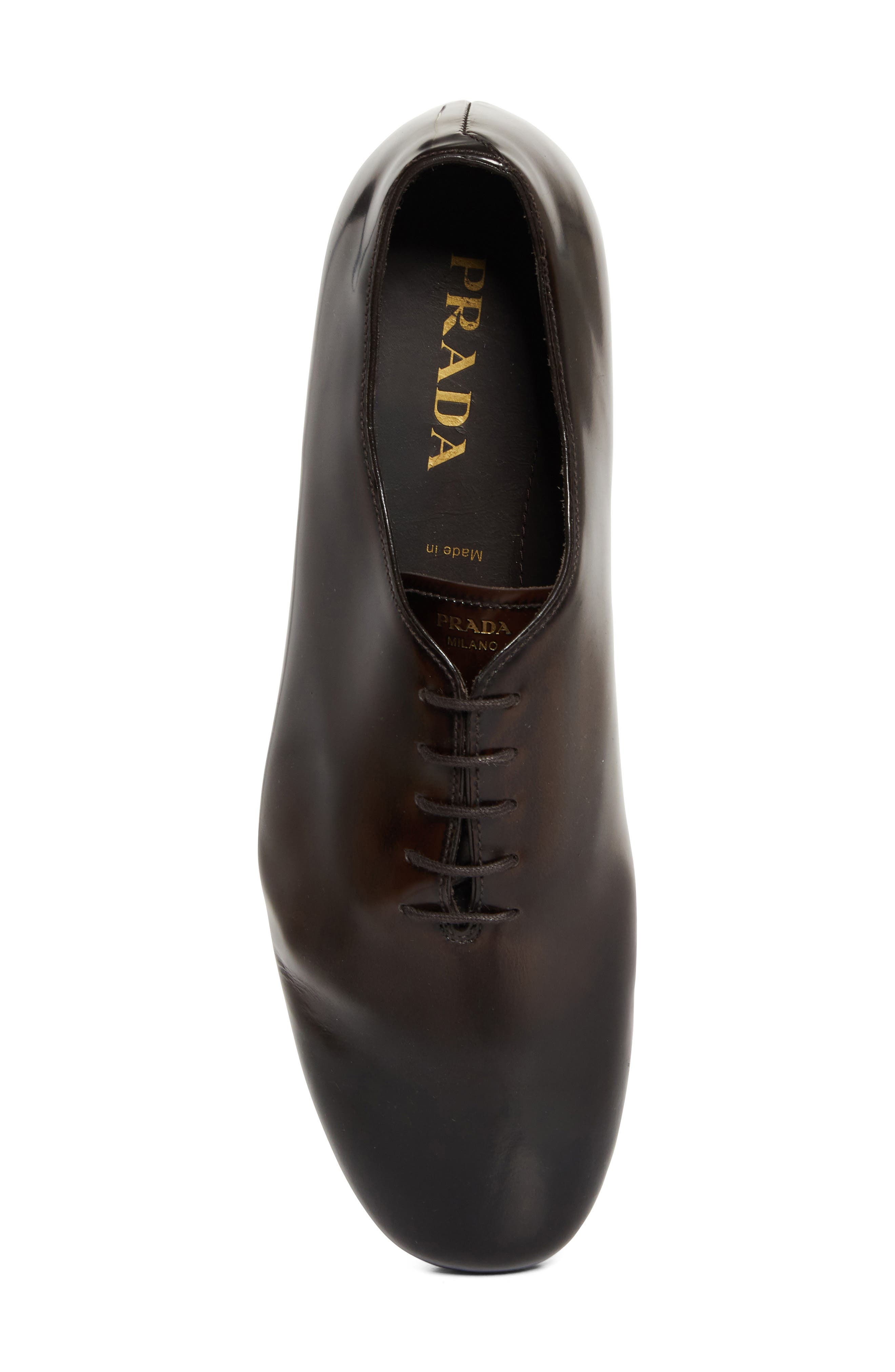 Prada Analog Oxford in Bruciato at Nordstrom - 4