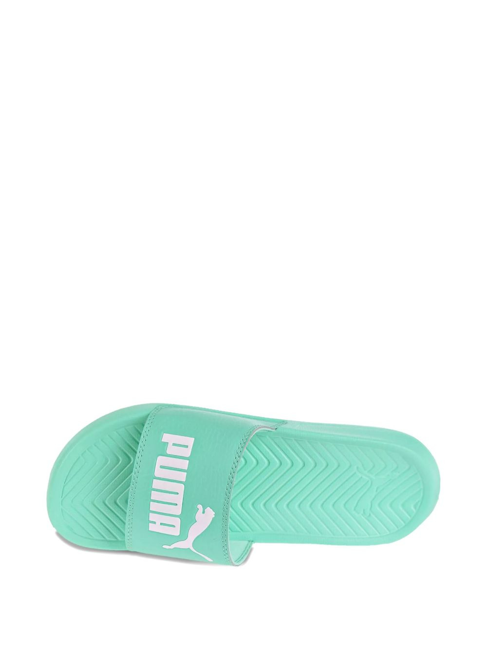 Popcat "Biscay Green" slides - 5