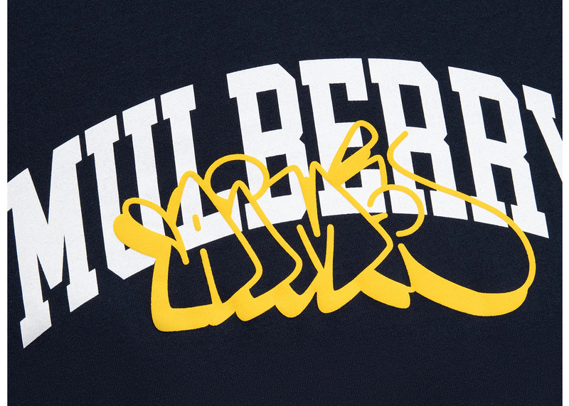 AIMÉ LEON DORE Aime Leon Dore Mulberry Throwy In-Store Exclusive Tee Navy outlook