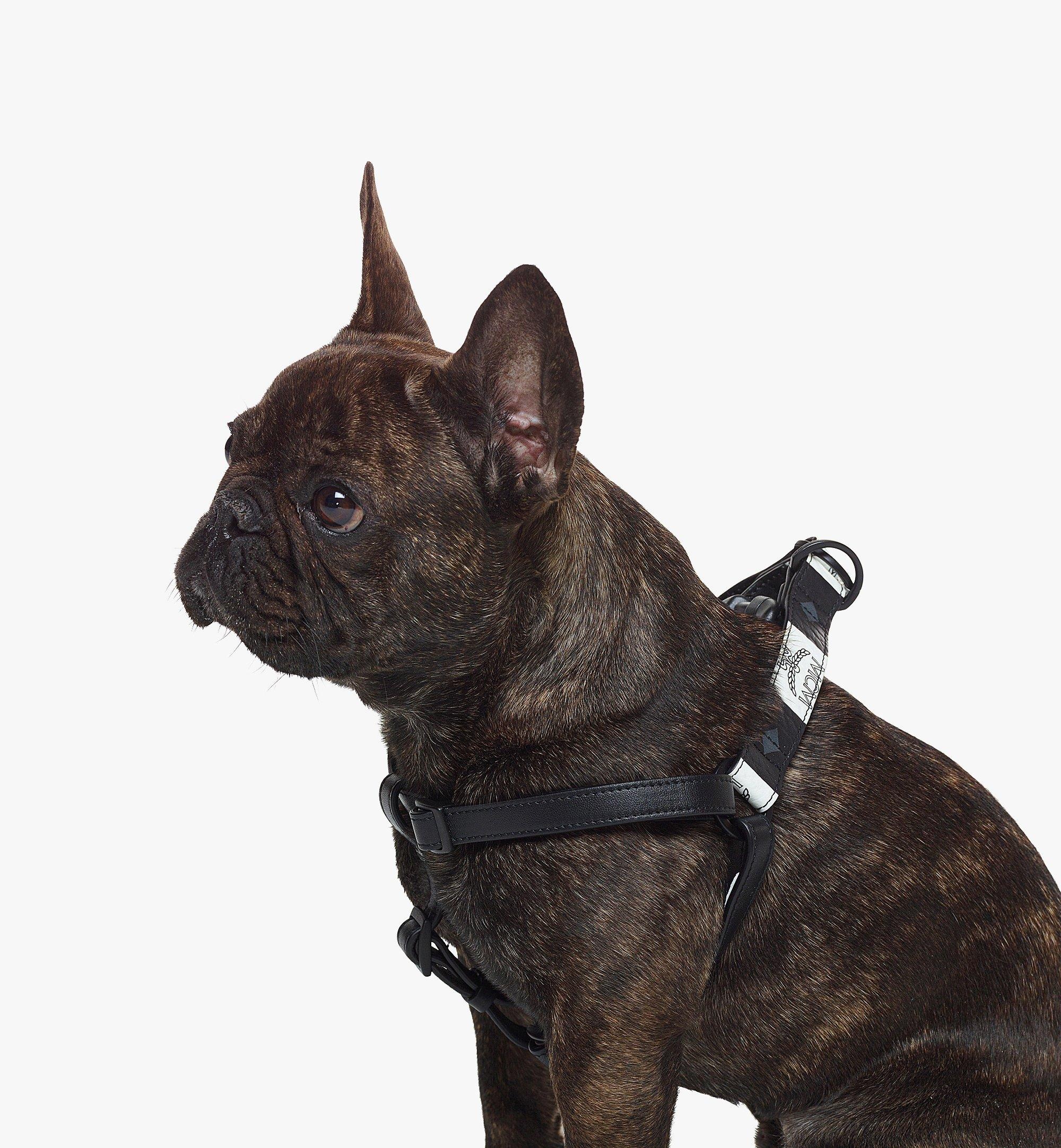 Pet Harness in Checkerboard Visetos - 4