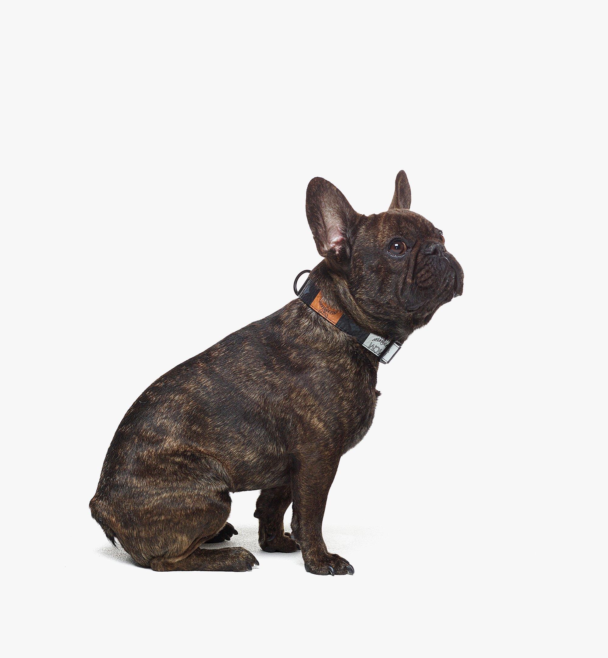 Pet Collar in Checkerboard Visetos - 2