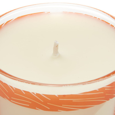 Maison Kitsuné Maison Kitsuné Moss Candle outlook