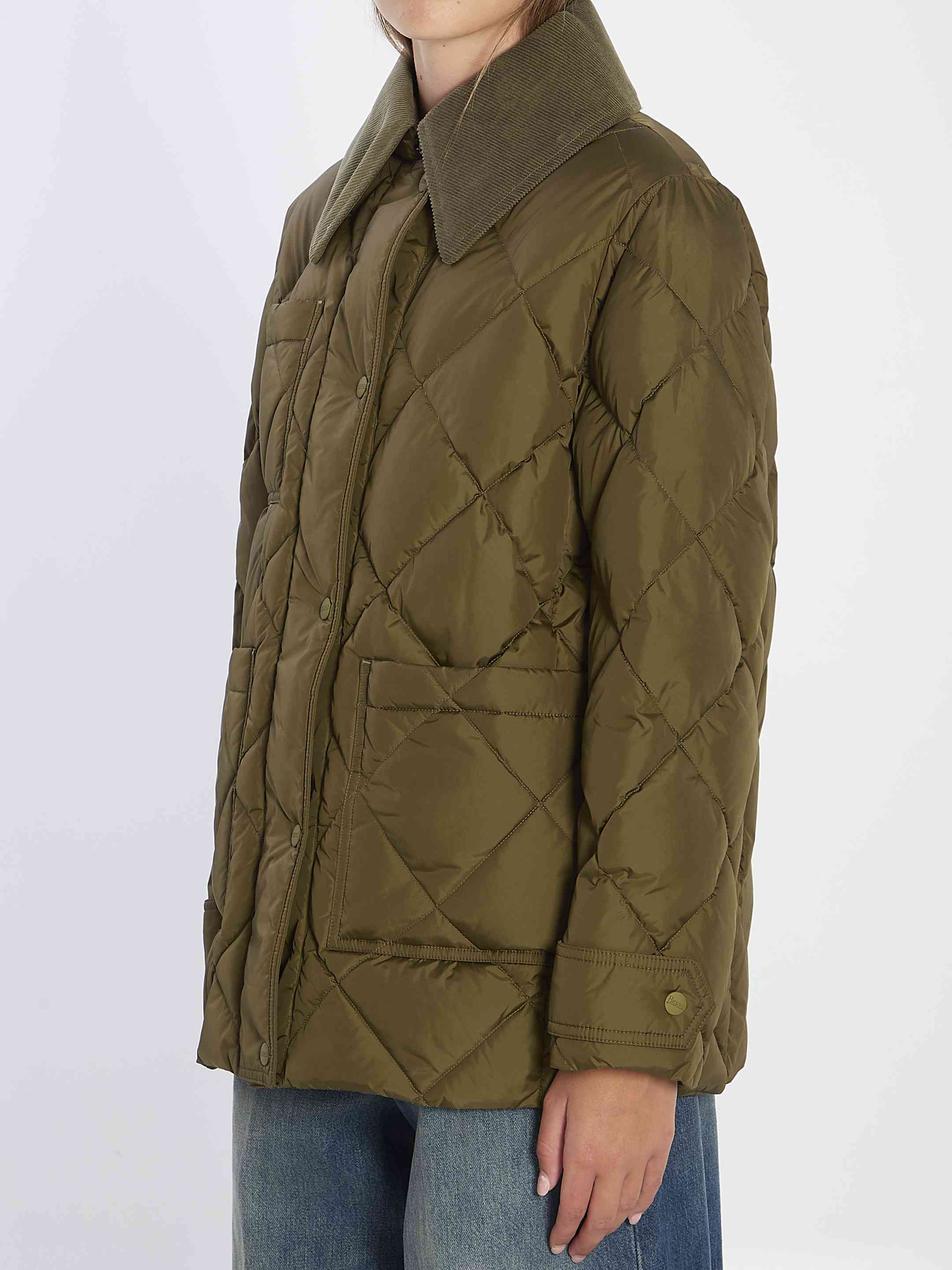 Herno Women Quilted Down Jacket - 2