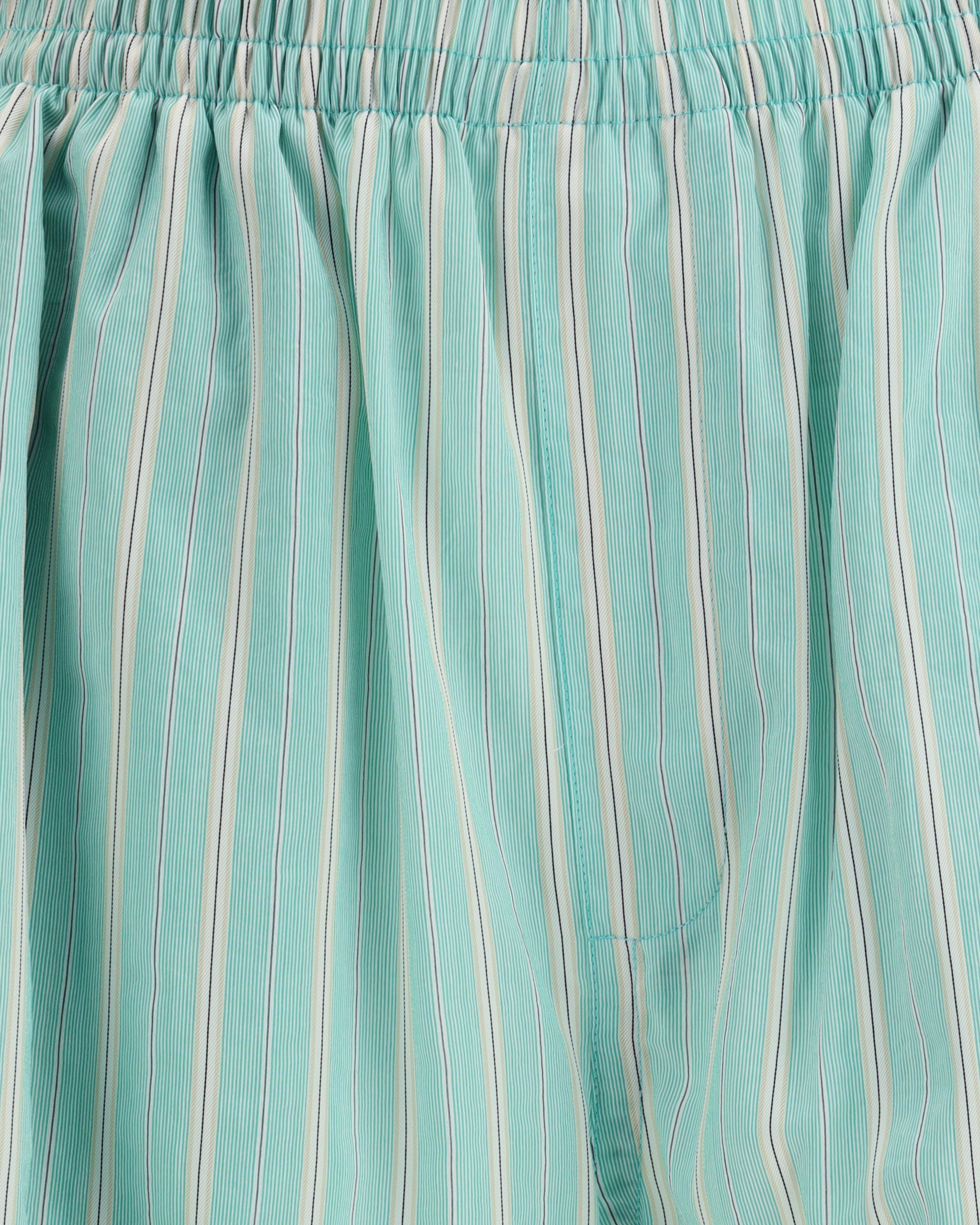 Striped Shorts - 3