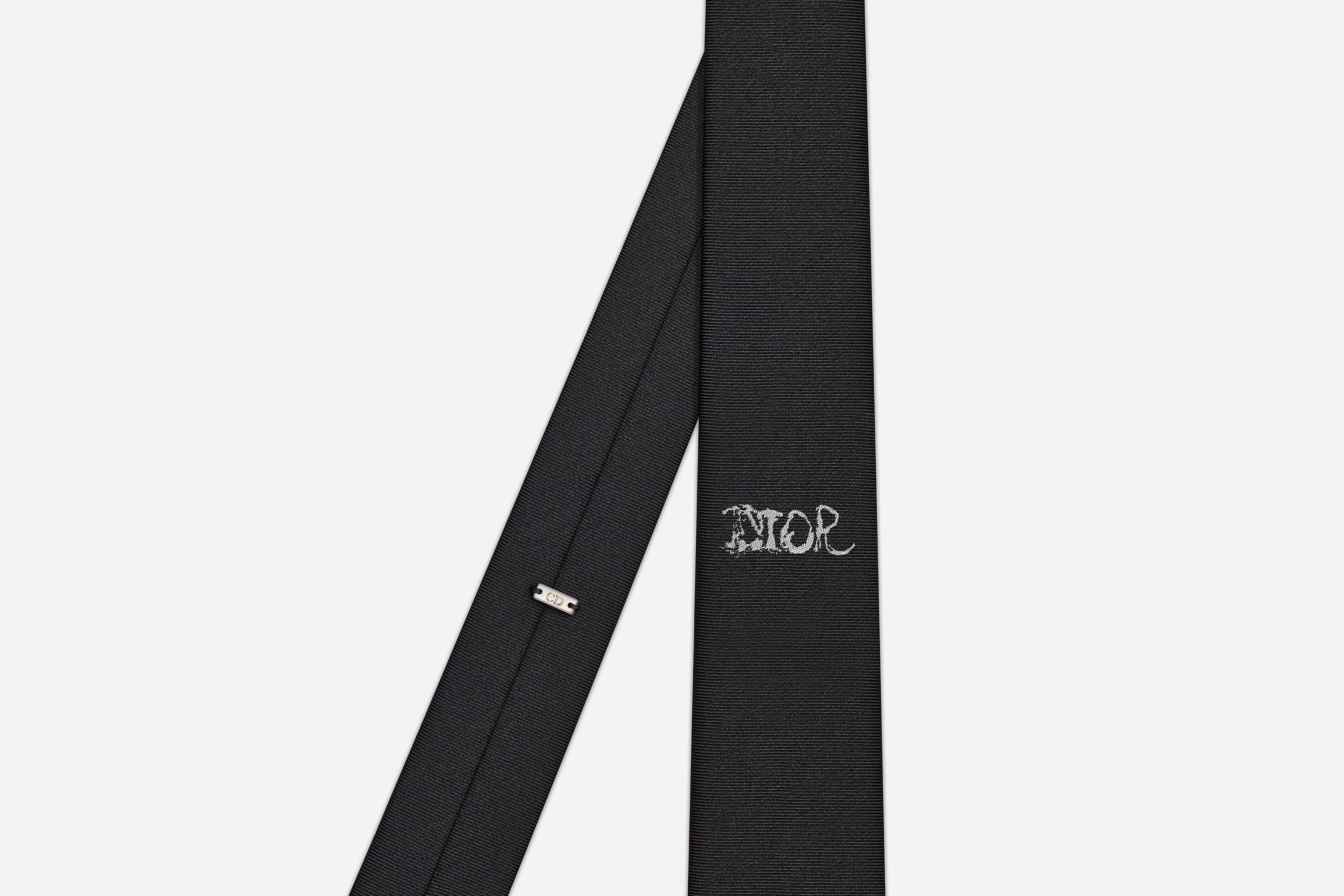 DIOR AND PETER DOIG Tie - 2