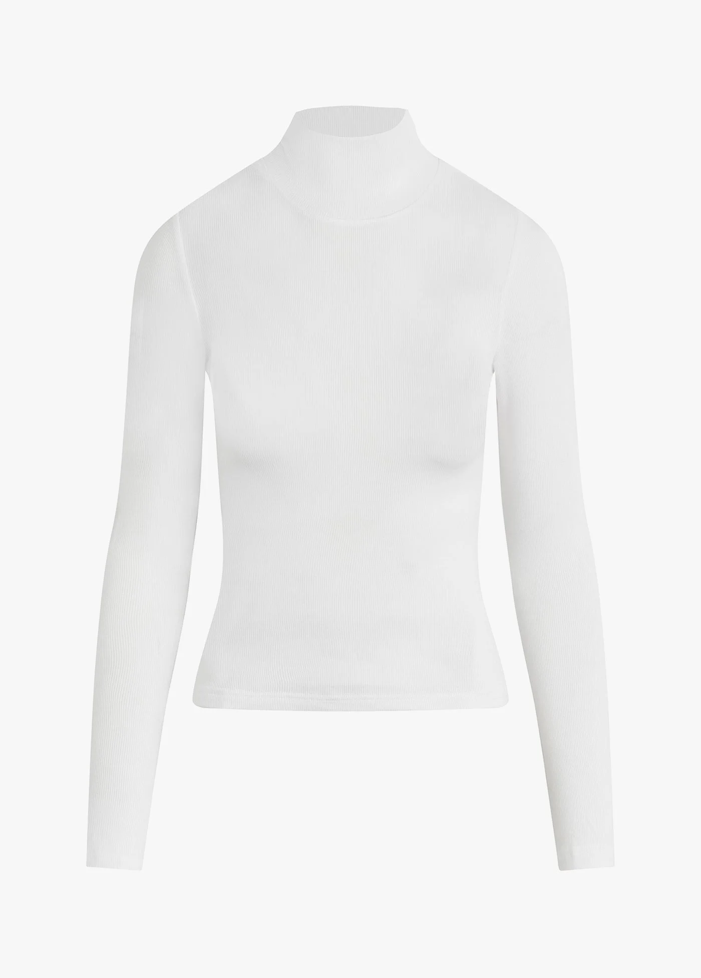 THE RIBBED TURTLENECK - 1