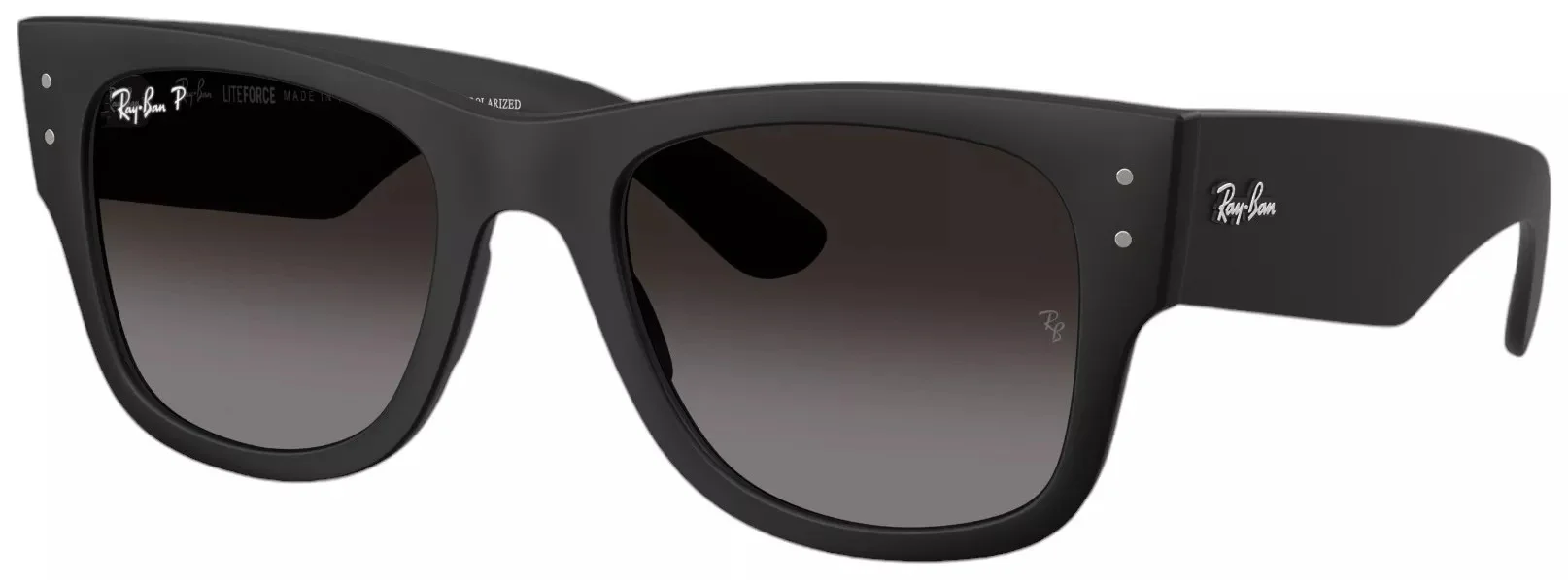 Ray-Ban Mega Wayfarer Liteforce Sunglasses - 1