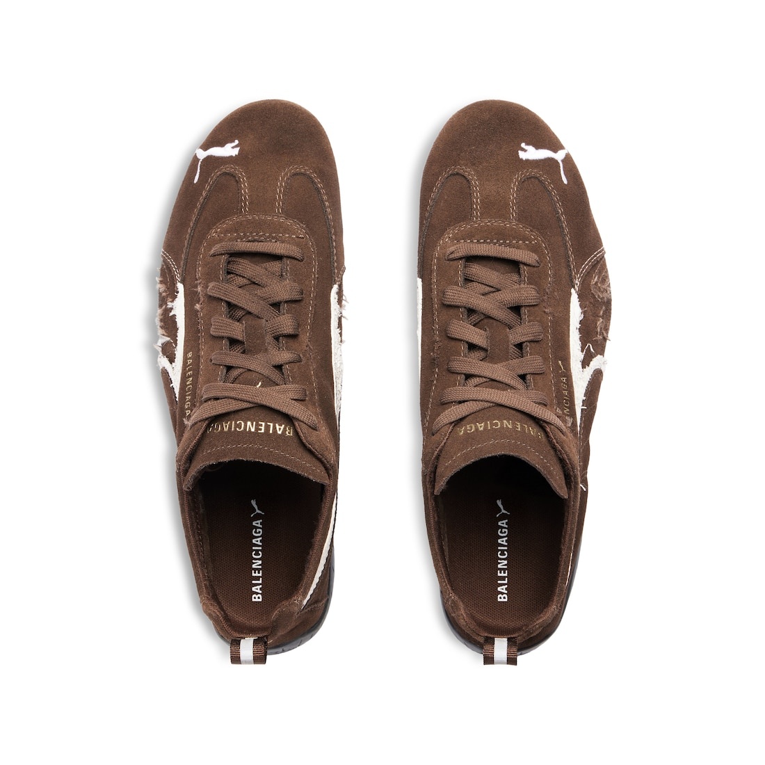 Speedcat Suede Balenciaga in Brown/white/black - 6