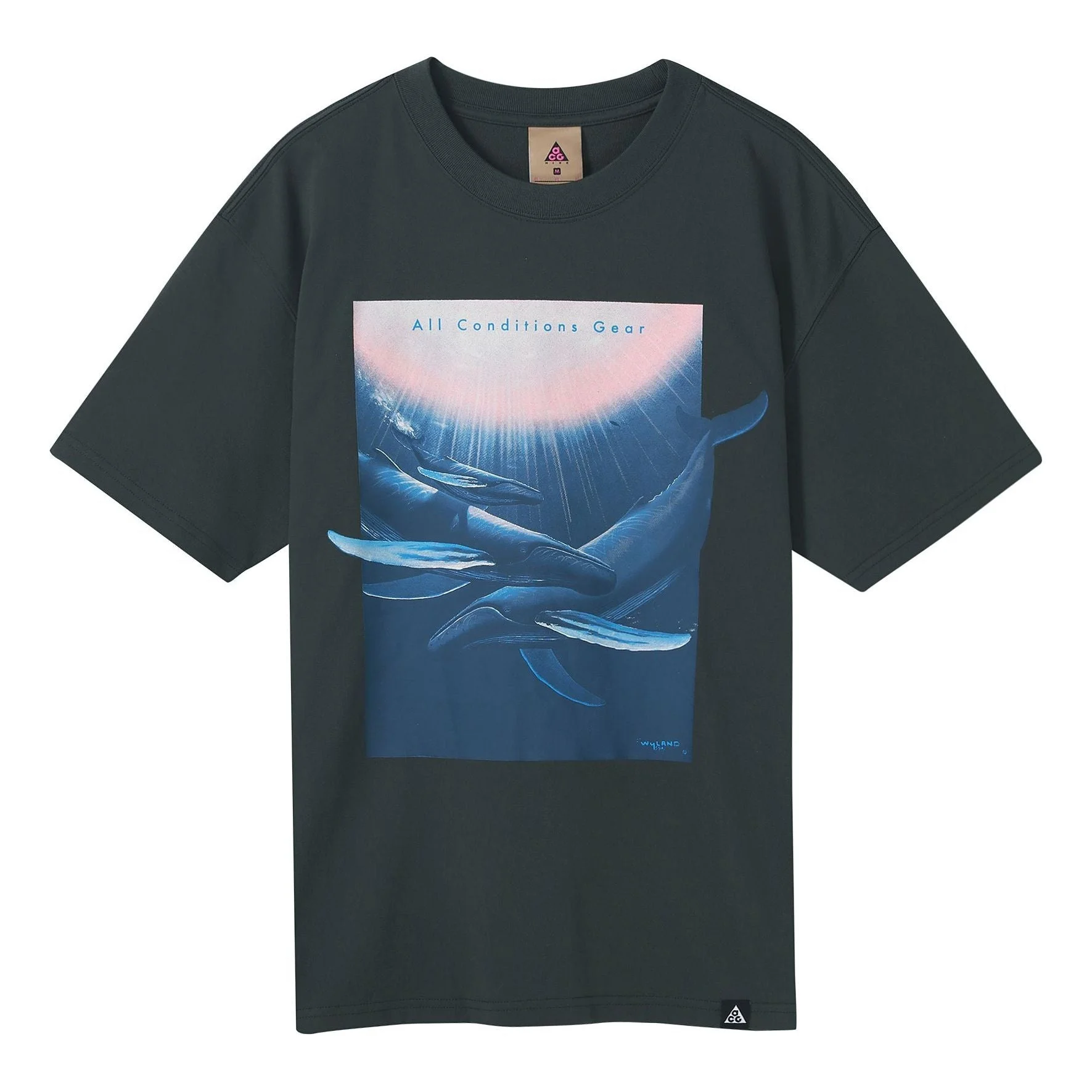 Nike ACG Wyland Funny Printing Sports Loose Round Neck Short Sleeve Black Gray Blackgray DC5359-070 - 1