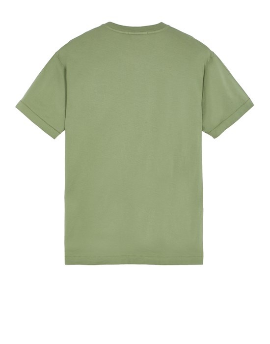 24113 SAGE GREEN - 2