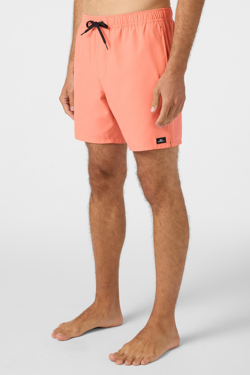 Lennox Hermosa Solid 17" Swim Trunks 4