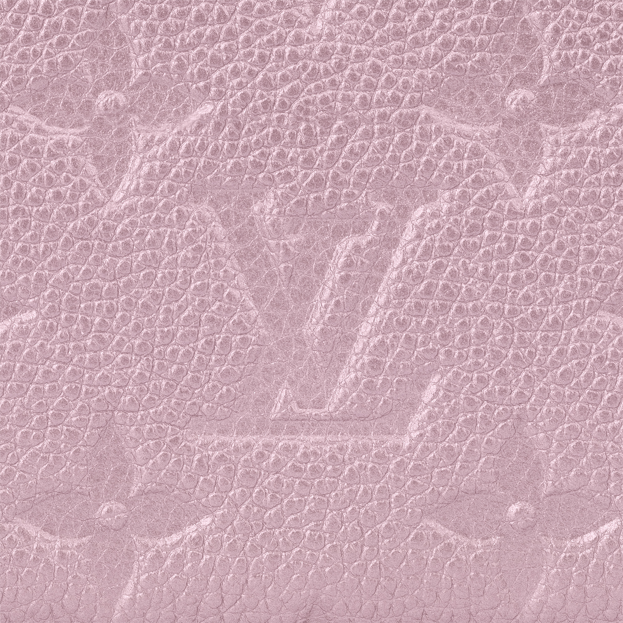 Clémence Wallet - 5