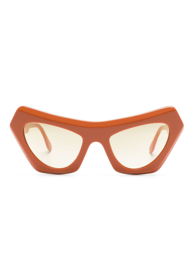 Devil's Pool cat-eye frame sunglasses 1