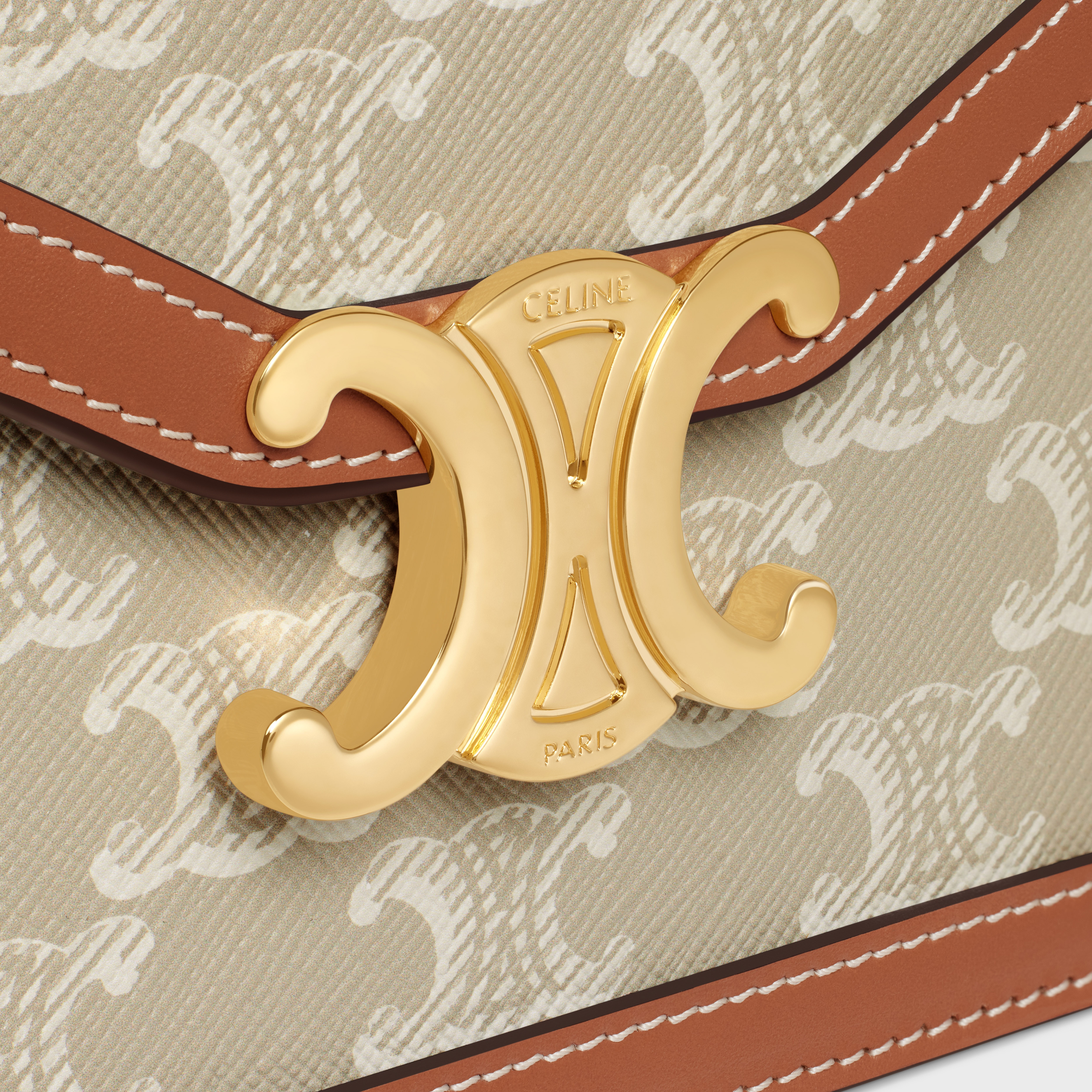 CELINE WALLET ON CHAIN MARGO in TRIOMPHE CANVAS AND CALFSKIN 