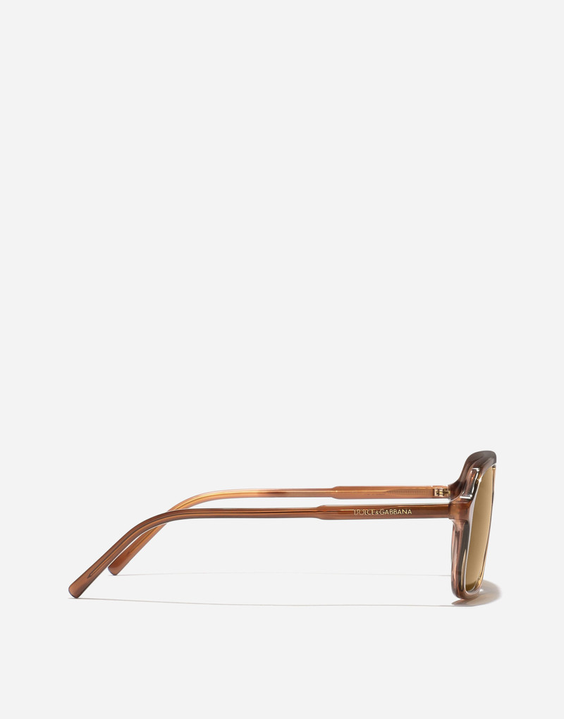 Everyday Sunglasses 3