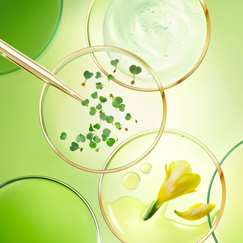 The Global Anti-Aging Cream 6
