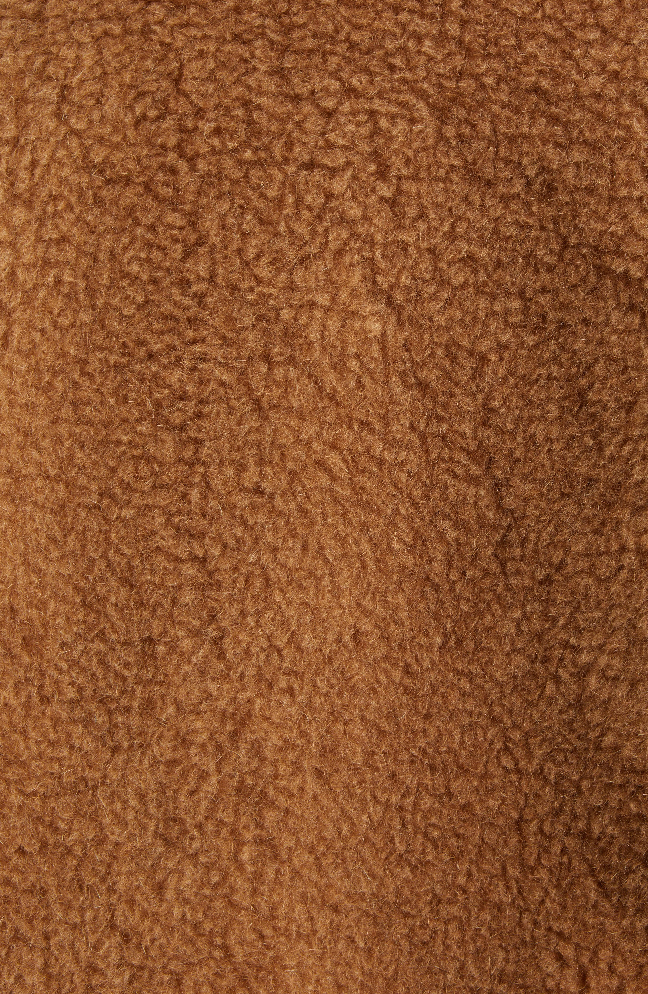 Max Mara Gardone Teddy Bear Icon Crop Jacket in Camel at Nordstrom - 5
